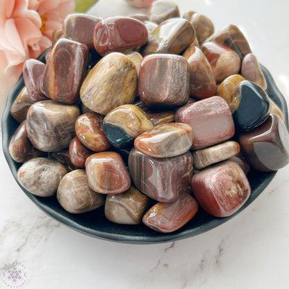 Petrified Wood Tumbled Stones