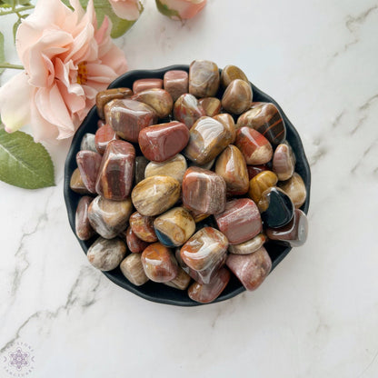 Petrified Wood Tumbled Stones