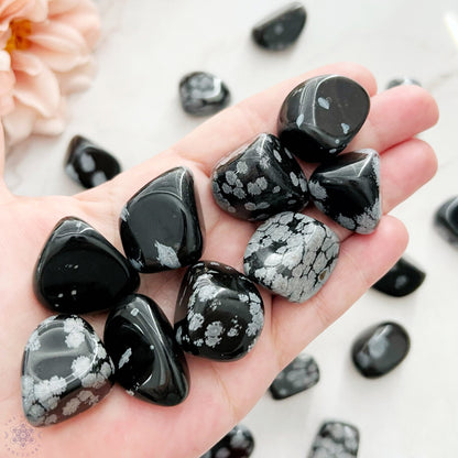 Snowflake Obsidian Tumbled Stones