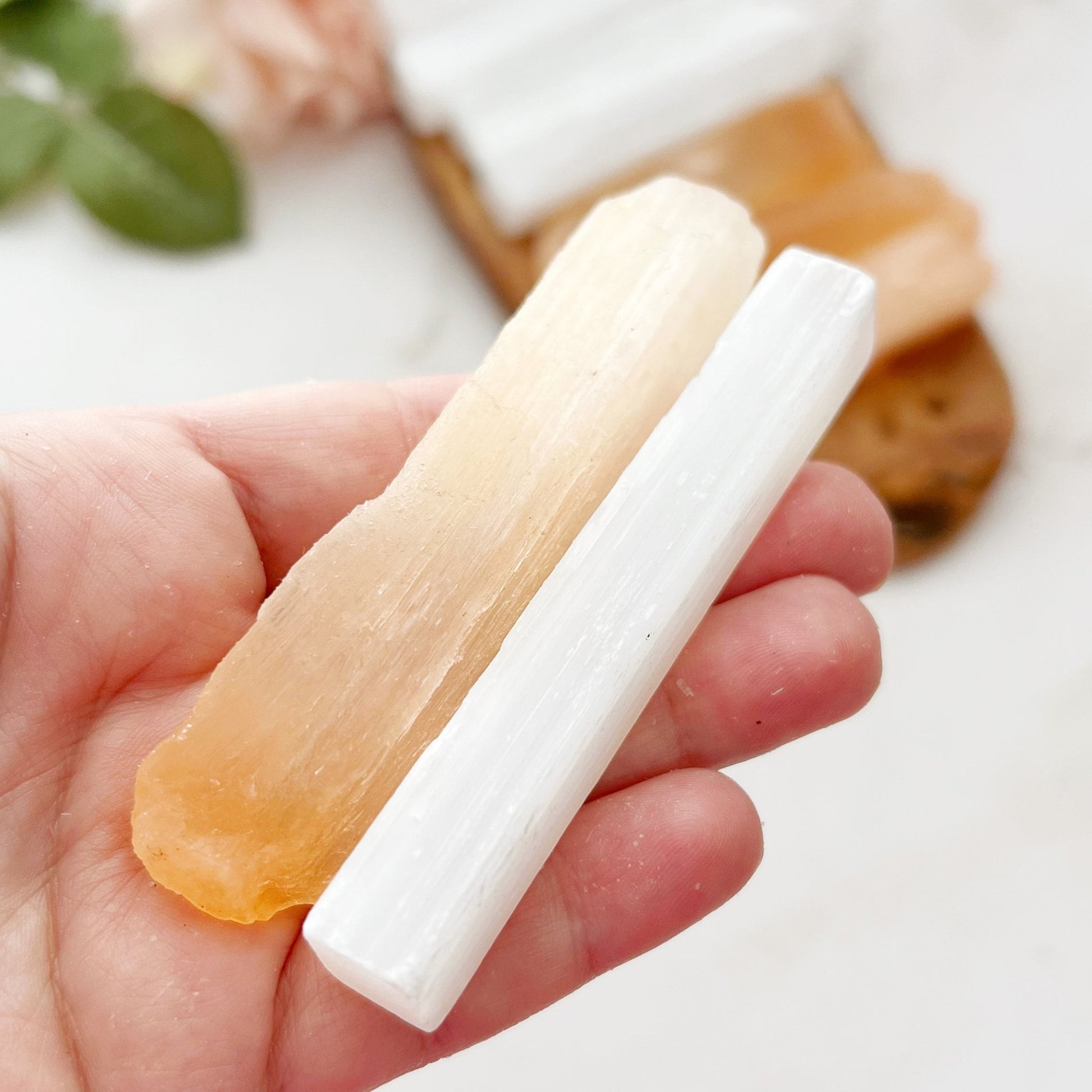 A hand holds two crystal sticks: one is a translucent orange 3" Raw Selenite Stick with rough edges, and the other is a smooth white 3" Raw Selenite Stick. More crystals and green leaves can be seen blurred in the background.