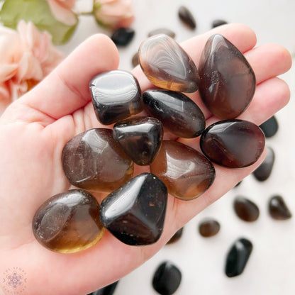 A wooden bowl filled with polished Dark Smoky Quartz Tumbled Stones, arranged neatly and gleaming under the light, is set against a plain white background. These stones are known for their grounding and protective energies.