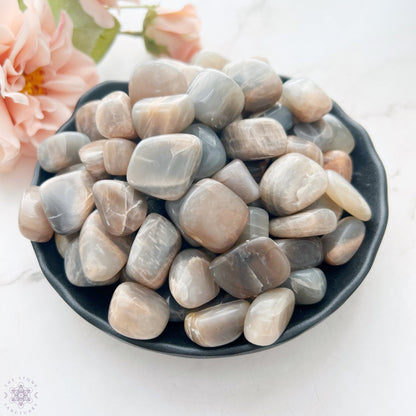 Black Moonstone Polished Tumbled Stones